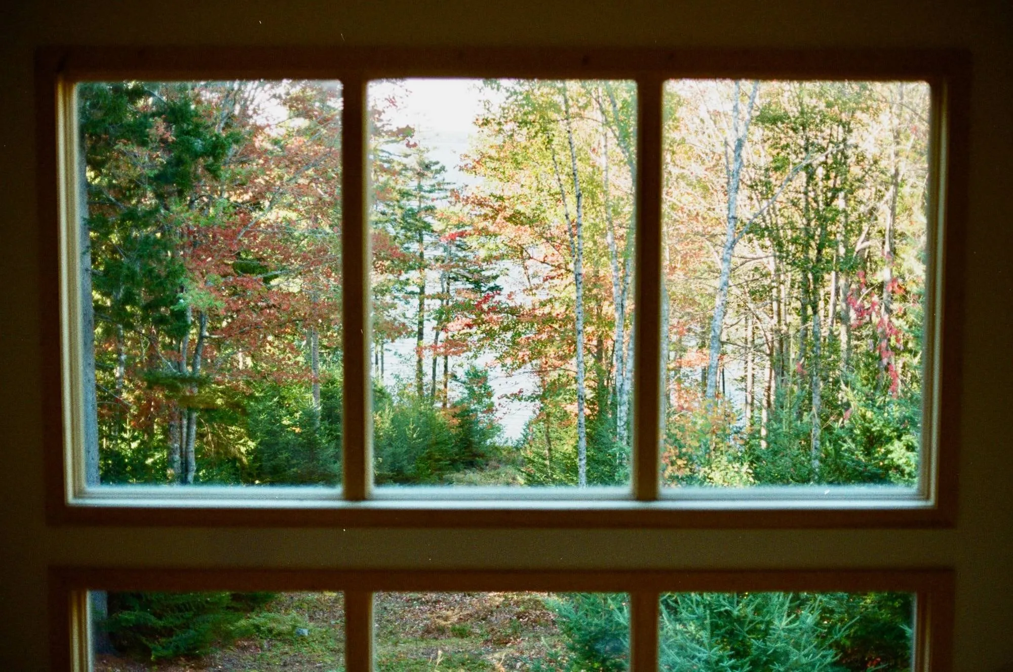 airbnb, acadia