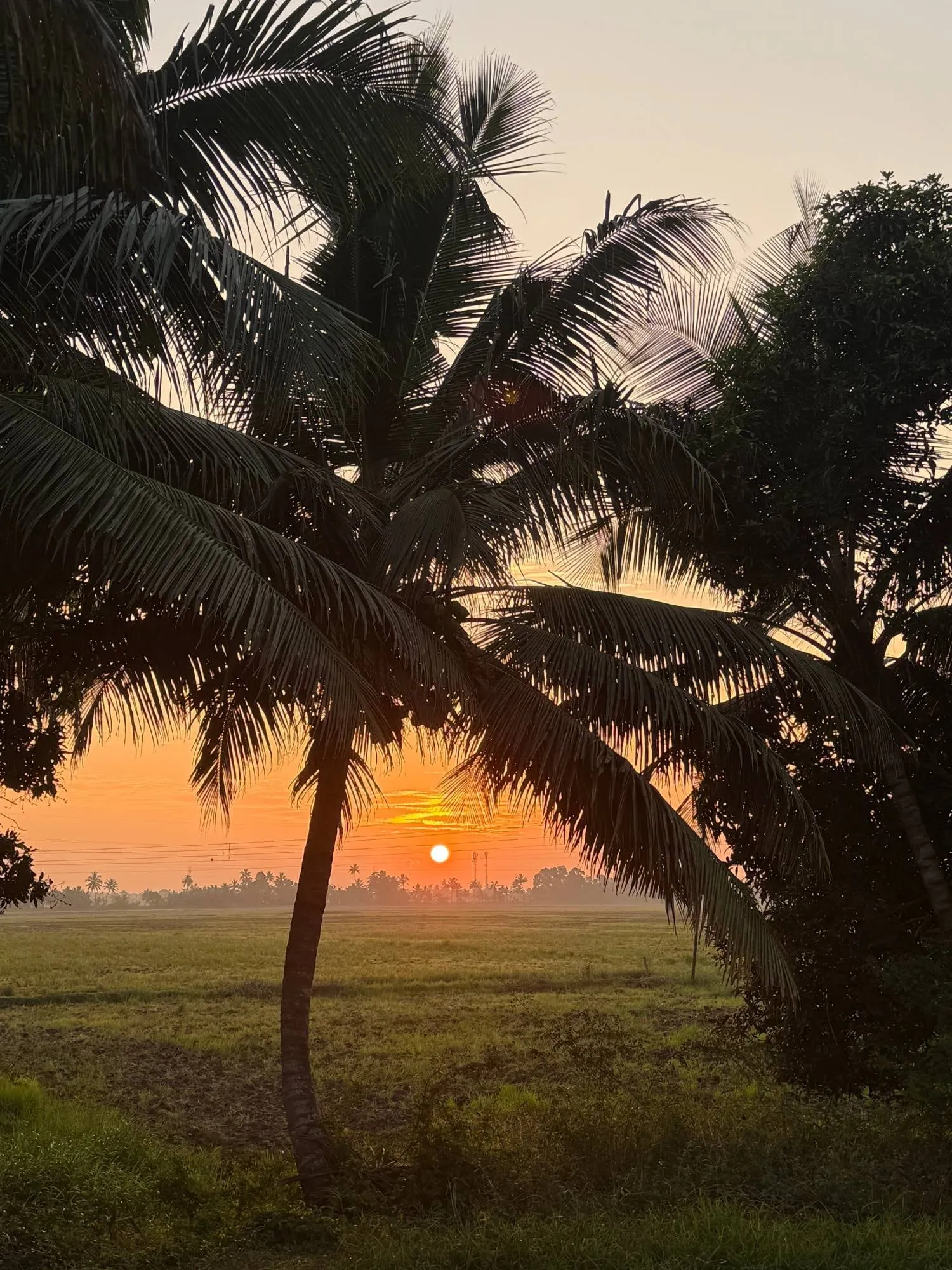 alleppey, india