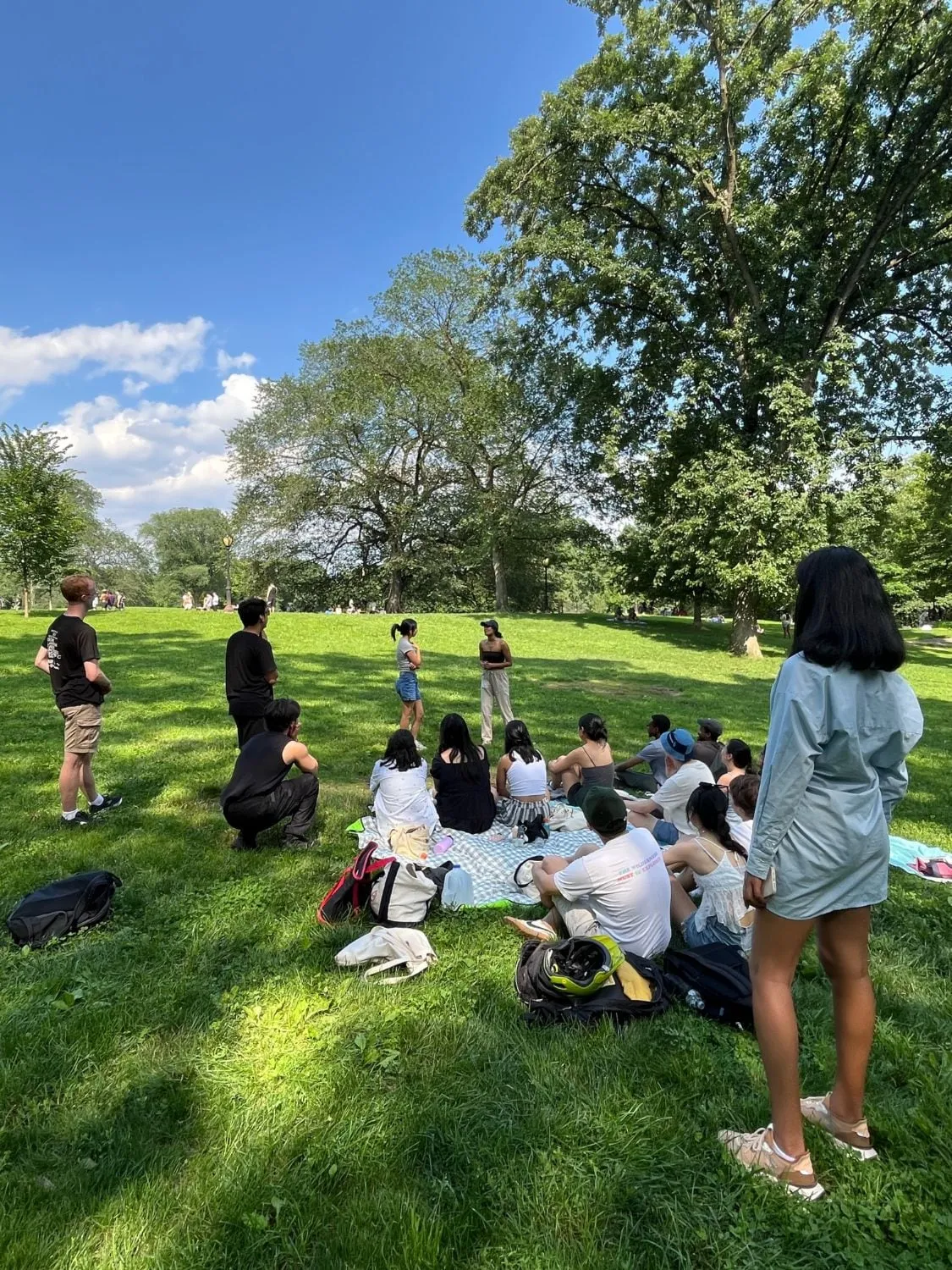 friends on picnic blankets in the park watching two people perform an improv scene